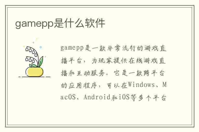 gamepp是什么软件(game是什么app)