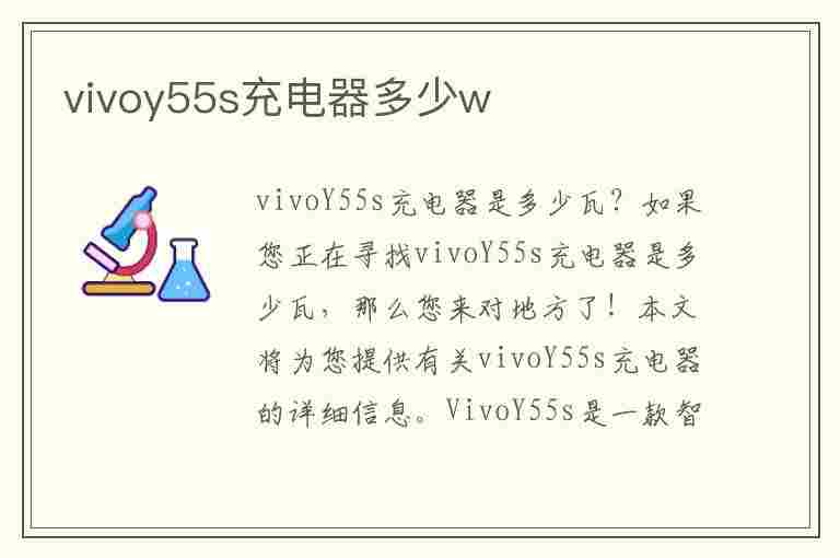 vivoy55s充电器多少w(vivoy55s充电器多少瓦)