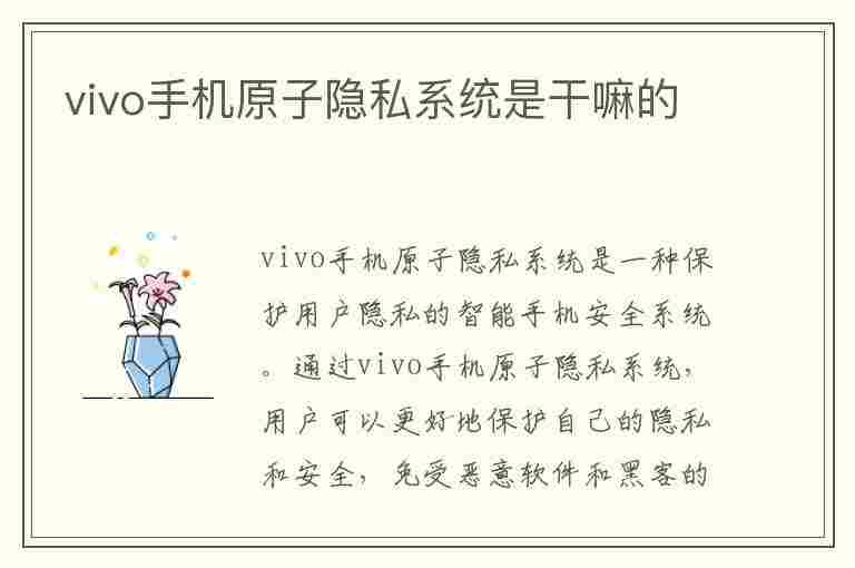 vivo手机原子隐私系统是干嘛的