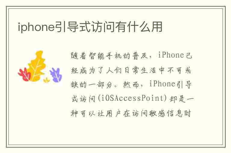 iphone引导式访问有什么用