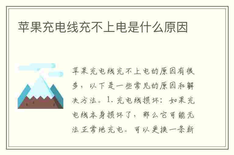 苹果充电线充不上电是什么原因