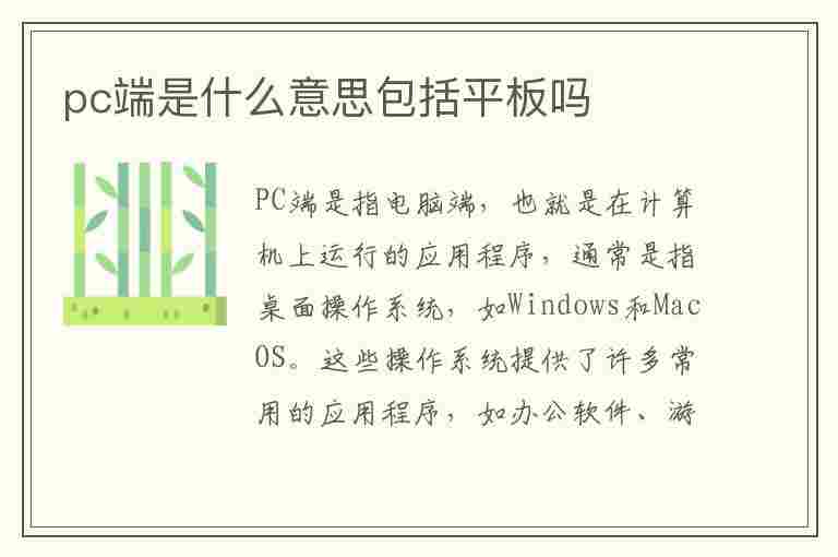 pc端是什么意思包括平板吗