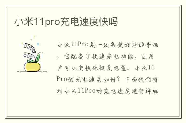 小米11pro充电速度快吗(小米11pro充电速度快吗)