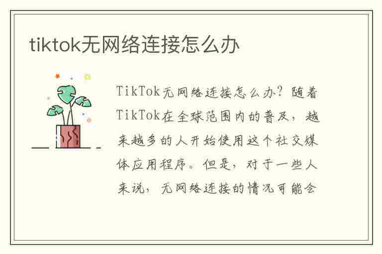 tiktok无网络连接怎么办