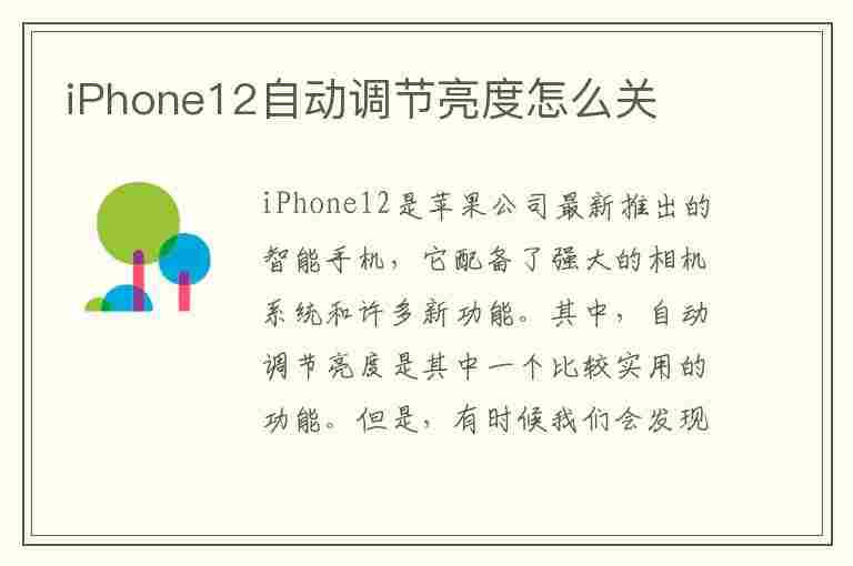 iPhone12自动调节亮度怎么关