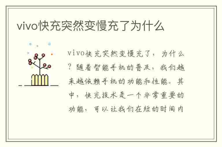 vivo快充突然变慢充了为什么