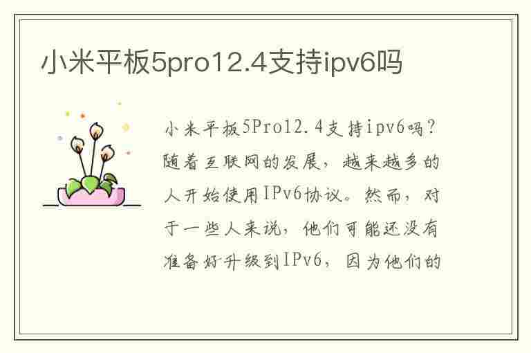 小米平板5pro12.4支持ipv6吗