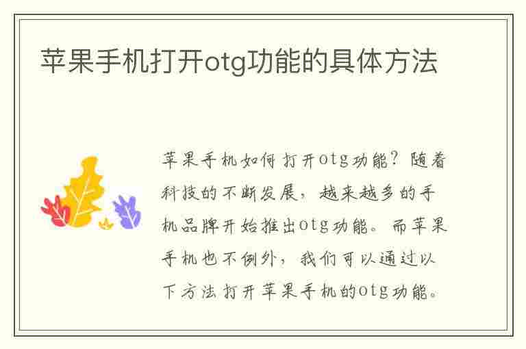 苹果手机打开otg功能的具体方法