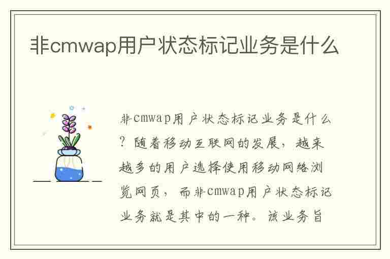 非cmwap用户状态标记业务是什么