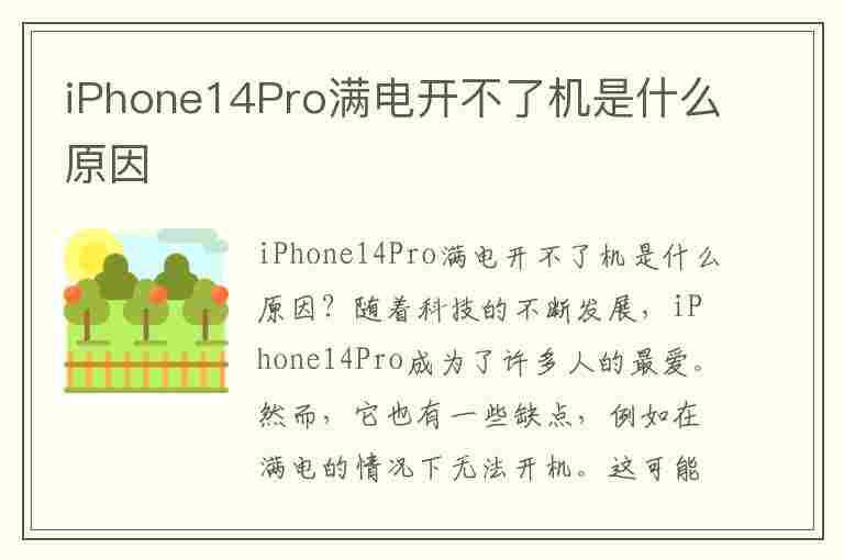 iPhone14Pro满电开不了机是什么原因