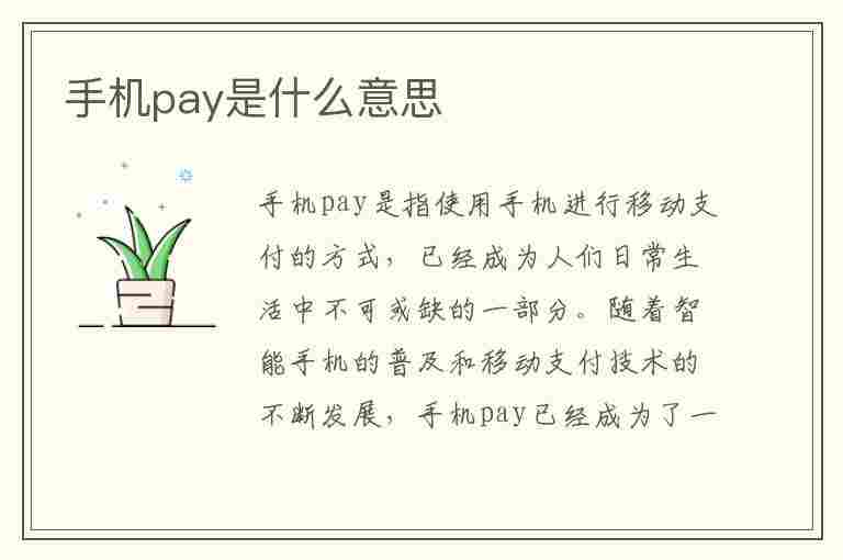 手机pay是什么意思(线下手机pay是什么意思)