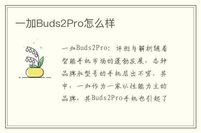 一加Buds2Pro怎么样(一加buds pro怎么样)