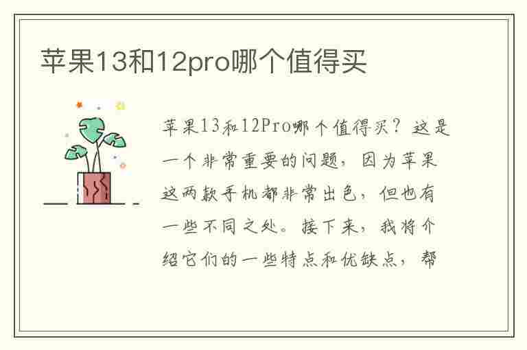 苹果13和12pro哪个值得买(苹果13和13pro哪个值得买)