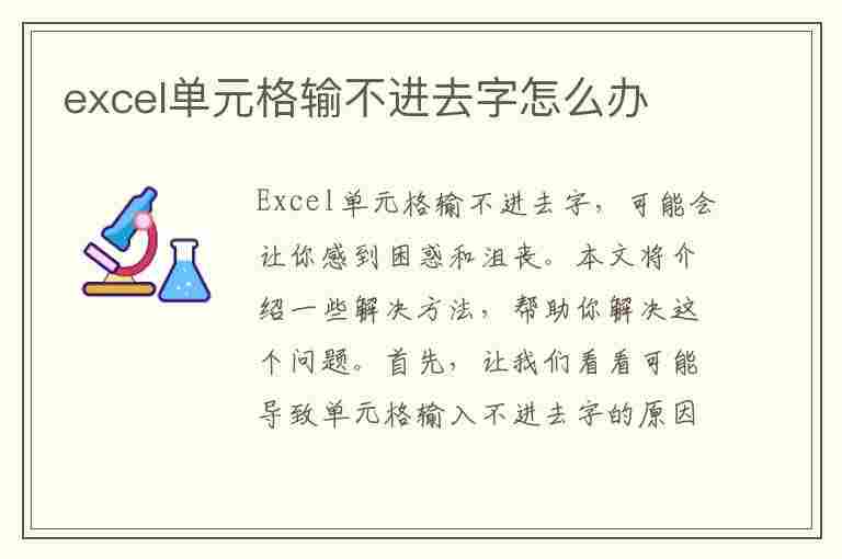 excel单元格输不进去字怎么办