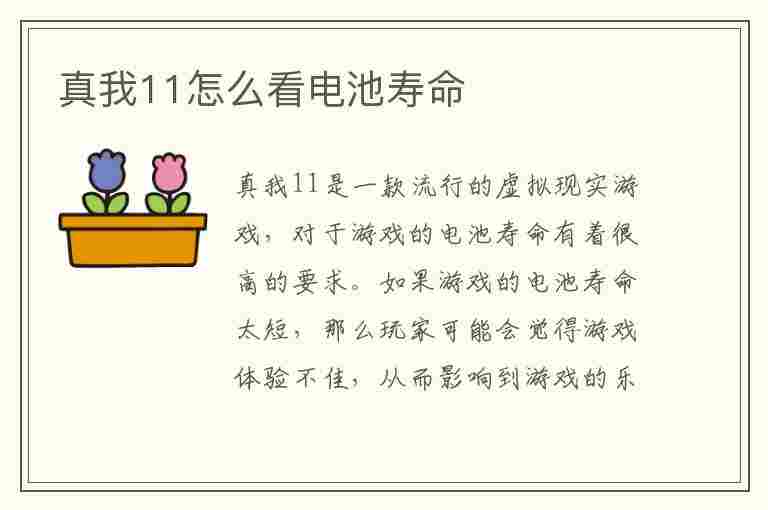 真我11怎么看电池寿命(真我怎么查看电池寿命)